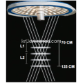 OT LIGHT CRELED 5700 5700 카탈로그